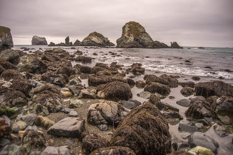 Best Beach in Central California