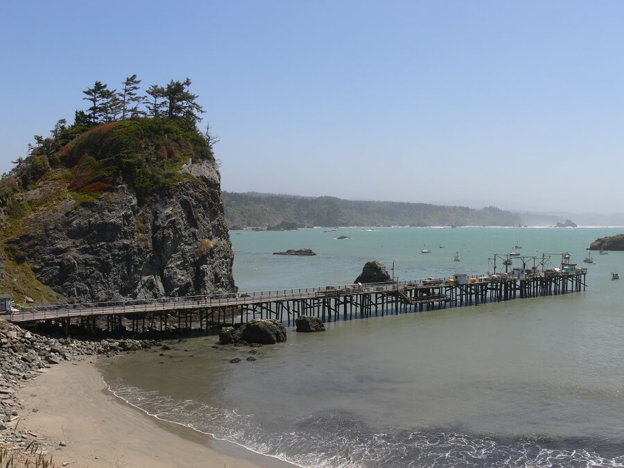 Trinidad State Beach