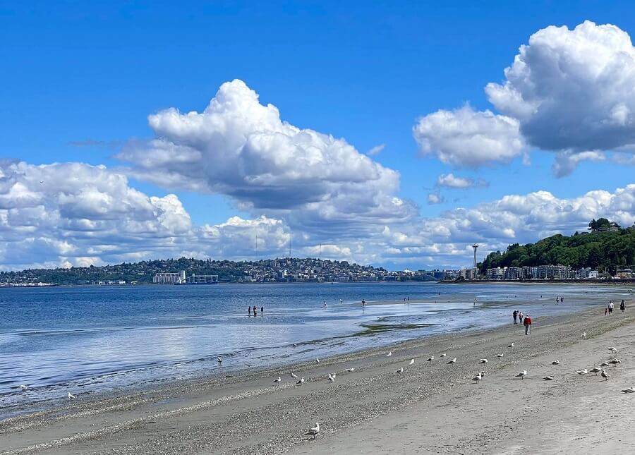 alki beach
