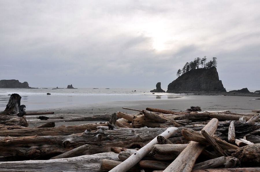 second beach la push