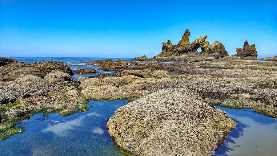 shi shi beach