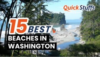 15 Best Beaches in Washington (Never Miss in 2022)